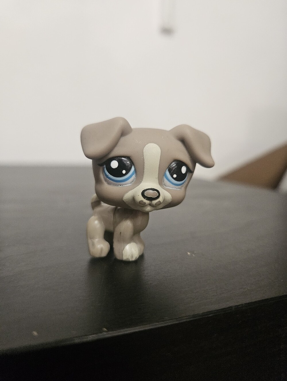Authentic Littlest Pet Shop Jack Russell #1832!